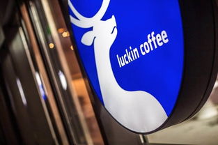 蔚来汽车任命新CFO与摩拜单车调价 两家出行巨头的战略调整